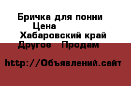 Бричка для понни › Цена ­ 30 000 - Хабаровский край Другое » Продам   